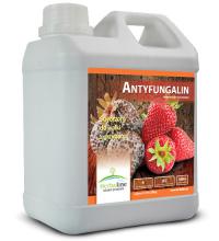 Antyfungalin