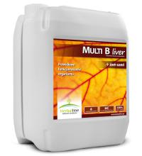 Multi B Liver