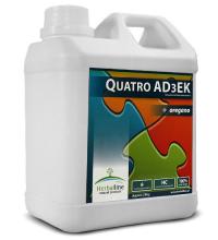 Quatro AD3EK