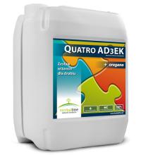 Quatro AD3EK