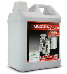 Musculin strong