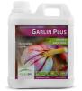 Garlin Plus